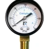 Campbell 2 in. Brass Pressure Gauge 60 psi