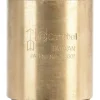 Campbell 1-1/2 in. D X 1-1/2 in. D FNPT x FNPT Red Brass Spring Loaded Check Valve