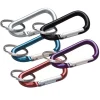 CARABINER KEY CHAIN ASST