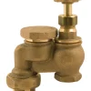 Champion Anti-Siphon Valve 3/4 in. 150 psi