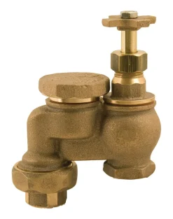 Champion Anti-Siphon Valve 3/4 in. 150 psi