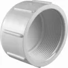 Charlotte Pipe Schedule 40 1-1/2 in. FPT PVC Cap 1 pk
