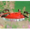 Classic Hummingbird Feeder, 12-oz.