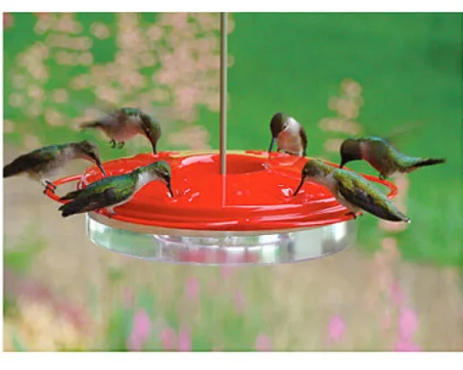 Classic Hummingbird Feeder, 12-oz.