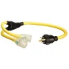 Coleman Cable 10/4 STOW 250 V 3 ft. L Generator Cord