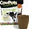 CowPots 3.37 in. H X 3.25 in. W X 2.25 in. L Plant Pot Seed Starter 12 pk (Pack of 12)