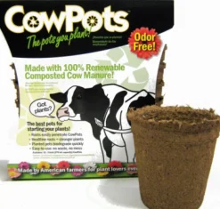 CowPots 3.37 in. H X 3.25 in. W X 2.25 in. L Plant Pot Seed Starter 12 pk (Pack of 12)