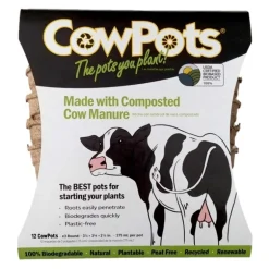 CowPots 3.37 in. H X 3.25 in. W X 2.25 in. L Plant Pot Seed Starter 12 pk (Pack of 12)