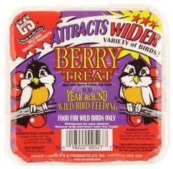 C&S Products Berry Treat Assorted Species Wild Bird Food Beef Suet 11.75 oz. (Pack of 12)