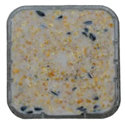 C&S Products High Energy Assorted Species Wild Bird Food Beef Suet 11.75 oz. (Pack of 12)