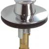 Danco 5/16 in. Chrome Brass Lift Plug and Drain