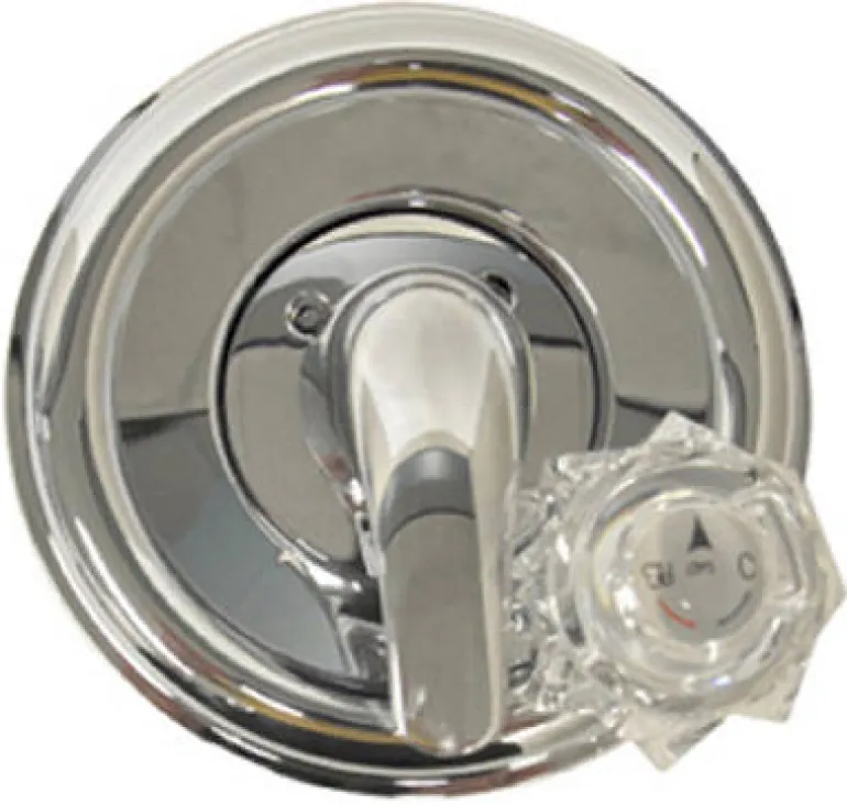 Danco 2-Handle Chrome Tub and Shower Trim Kit