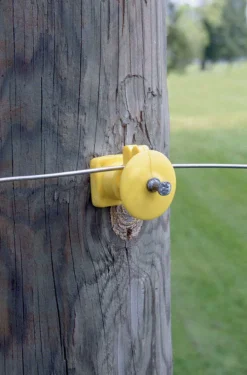 Dare Electric Post Insulator Black