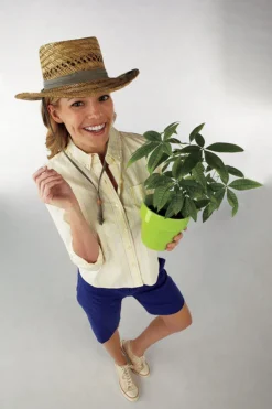 Dorfman Pacific Unisex Hat Natural Assorted (Pack of 12)