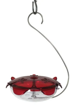 Droll Yankees Ruby Sipper Hummingbird 5 oz. Polycarbonate Nectar Feeder 3 ports (Pack of 6)