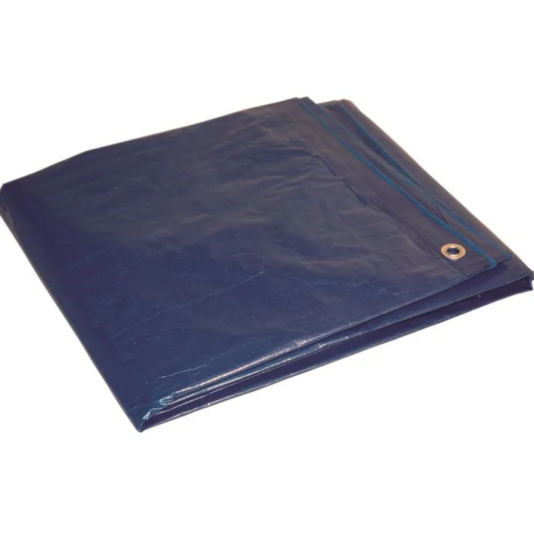 Dry Top 10 ft. W X 12 ft. L Medium Duty Polyethylene Poly Tarp Blue