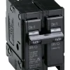 Eaton Cutler-Hammer 125 amps Plug In 2-Pole Circuit Breaker