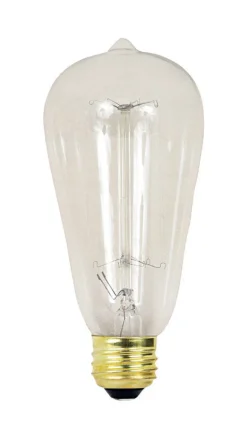 FEIT Electric The Original 40 watts ST19 Vintage Incandescent Bulb E26 (Medium) Soft White 1 pk (Pack of 6)