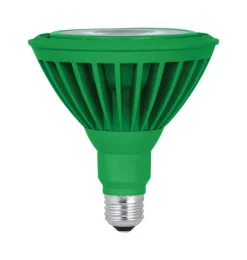 Feit PAR38 E26 (Medium) LED Bulb Green 120 Watt Equivalence 1 pk