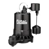 Flotec 3/4 HP 5,280 gph Cast Iron Vertical Float Switch AC Submersible Sump Pump