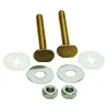 Fluidmaster Bowl to Floor Bolts Brass