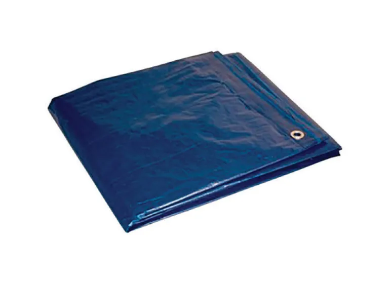 Foremost 20 ft. W X 30 ft. L Light Duty Polyethylene Tarp Blue