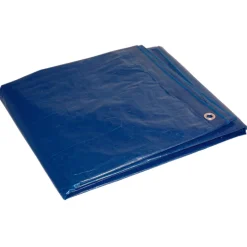 Foremost Dry Top 12 ft. W X 24 ft. L Medium Duty Polyethylene Tarp Blue