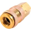 Forney Brass Universal Coupler 1/4 in. Female X 1/4 in. Female 1 pc