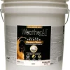 5-Gallon Flat Deep Base Masonry/Stucco Paint
