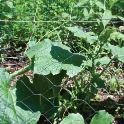 Garden Craft 36 in. H x 25 ft. L 20 Ga. Silver Poultry Netting