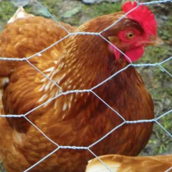 Garden Craft 72 in. H X 150 ft. L Galvanized Steel Poultry Netting 2 in.