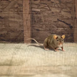 Garden Craft 36 in. H X 50 ft. L Steel Hardware Cloth