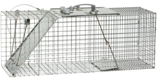 Havahart Large Live Catch Cage Trap For Cats and Raccoons 1 pk