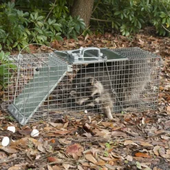Havahart Large Live Catch Cage Trap For Cats and Raccoons 1 pk