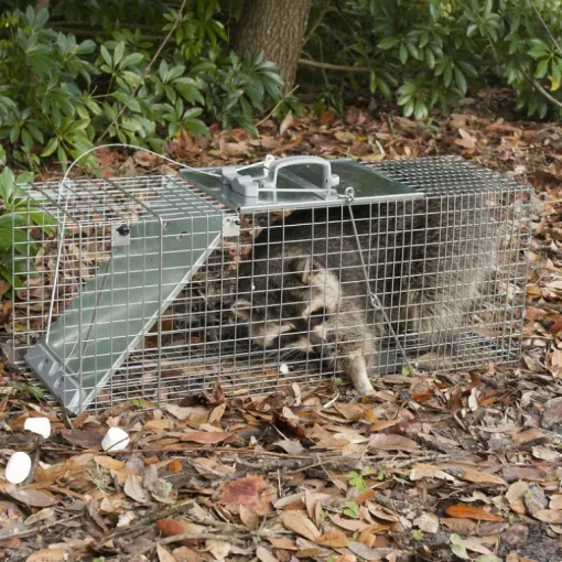 Havahart Large Live Catch Cage Trap For Cats and Raccoons 1 pk