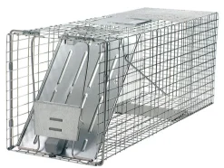 Havahart Large Live Catch Cage Trap For Cats and Raccoons 1 pk