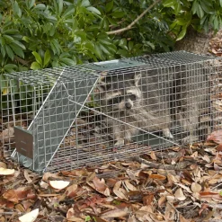 Havahart Large Live Catch Cage Trap For Cats and Raccoons 1 pk
