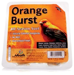 Heath Orange Burst Songbird Suet Beef Suet 11.25 oz. (Pack of 12)