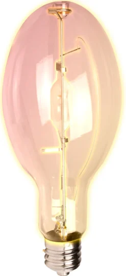 HID BULB 1PK