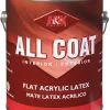 H&K Paint Company Acrylic Latex Paint Interior/Exterior Semi Gloss Basic White 1 Gl