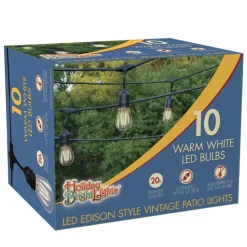 Holiday Bright Lights Warm White Plastic/Electrical Plug-In LED Vintage Outdoor Light Set 20 ft.