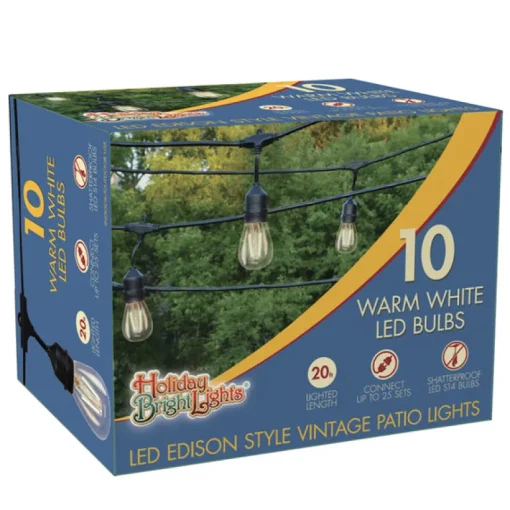 Holiday Bright Lights Warm White Plastic/Electrical Plug-In LED Vintage Outdoor Light Set 20 ft.
