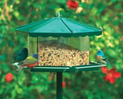Homestead Triple Bin Bird Feeder Acrylic 3 Compartment 11-1/2 Lbs. Hunter Green