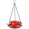 Hummingbird Feeder With Perching Ring, Red Crackle Glass