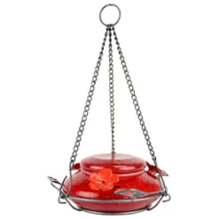 Hummingbird Feeder With Perching Ring, Red Crackle Glass