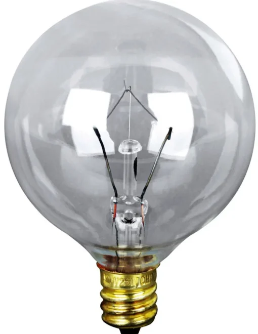 INCNDSNT BULB 550LMN 60W