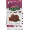 Jobe's Biozome Granules Organic Plant Food 4 lb. (Pack of 6)