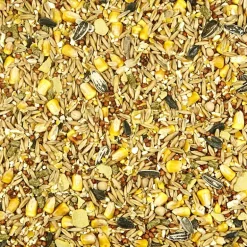 Kaytee Backyard Wildlife Assorted Species Oats Squirrel and Critter Food 5 lb