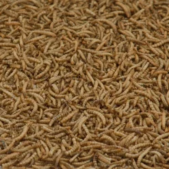 Kaytee Mealworms Wild Bird/Poultry Dried Mealworm Mealworms 32 oz