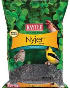 Kaytee Nyjer Songbird Nyger Thistle Seed Wild Bird Food 3 lb
